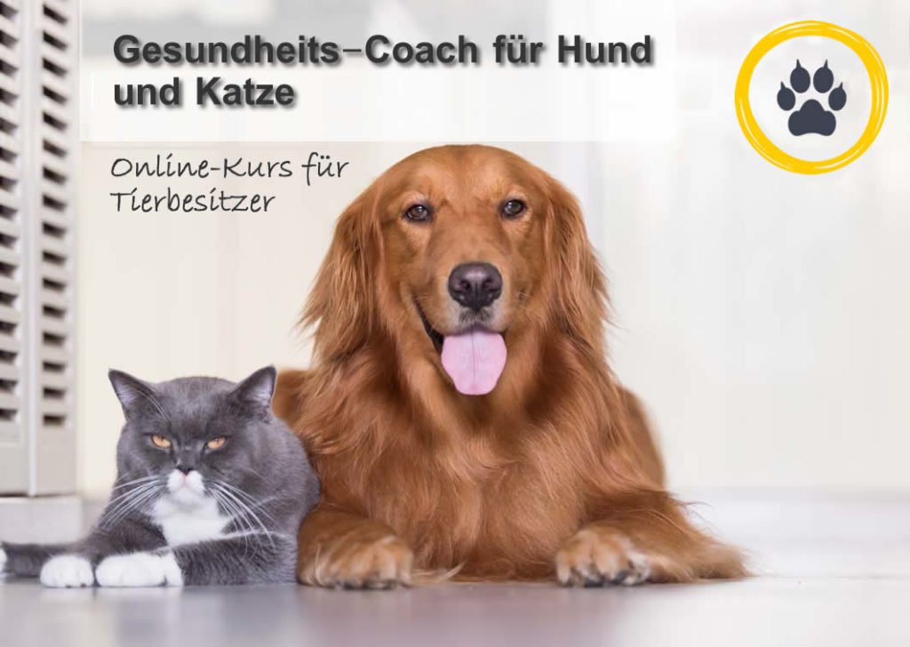 Gesundheit Coach Für Hund Und Katze Tierzeichen