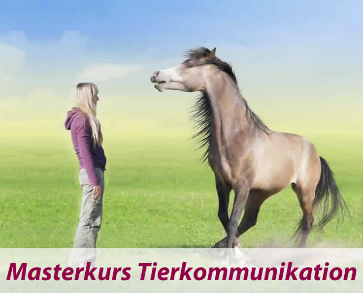 Masterkurs-t Masterkurs