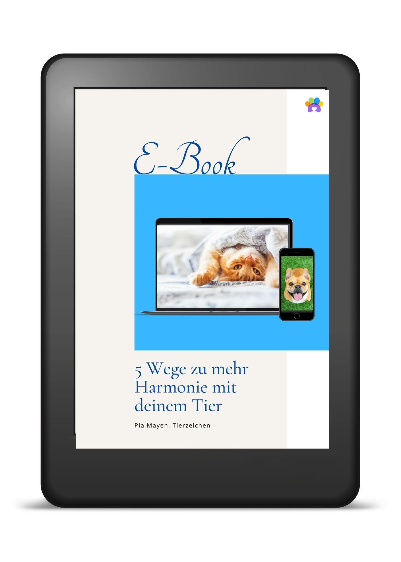 5 Wege E-Book