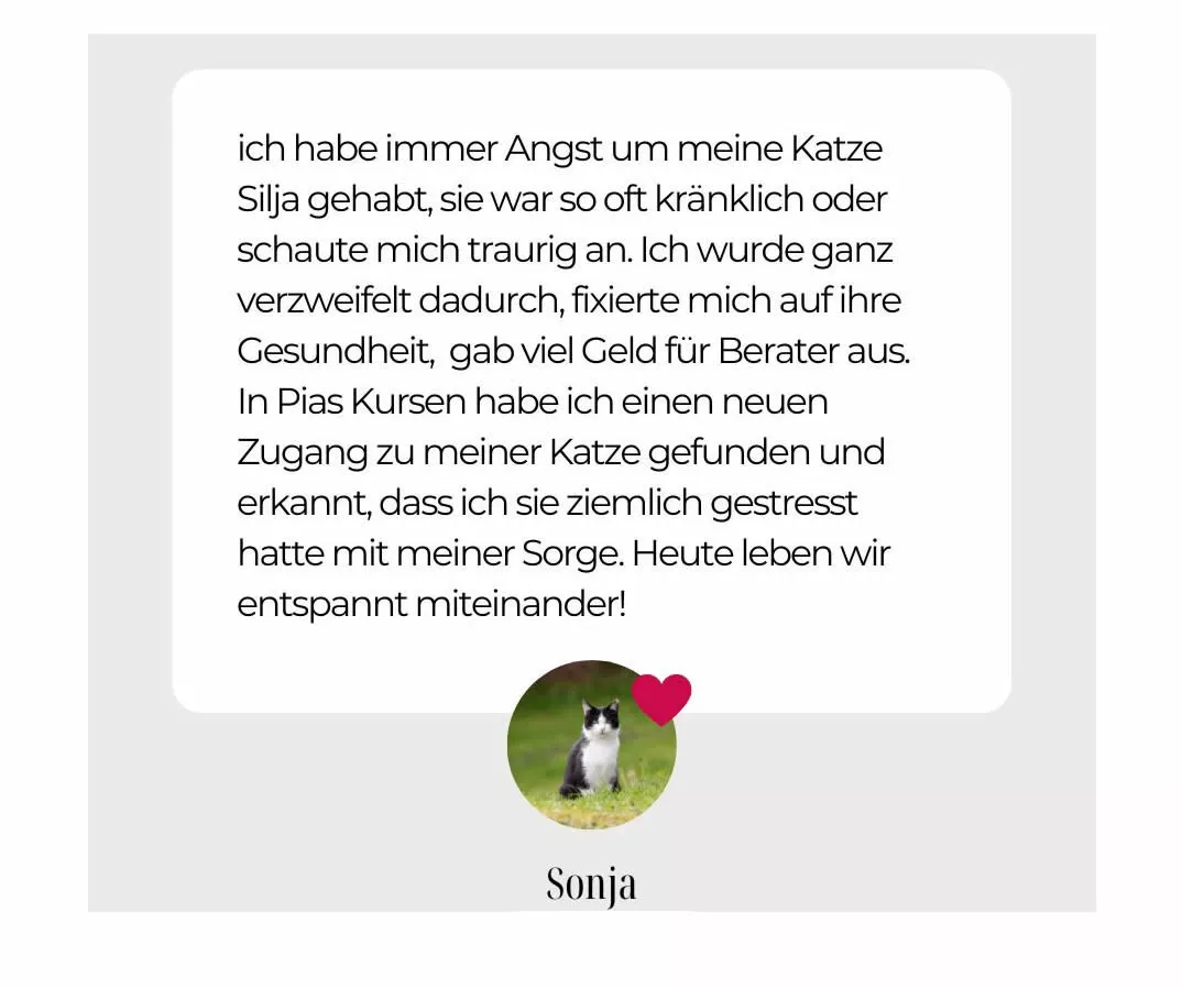 Transformationskurs 3