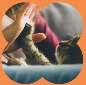 Mini-Retreat 9 Mini-Retreat 11