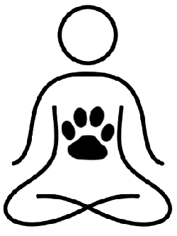 Transformationskurs 10