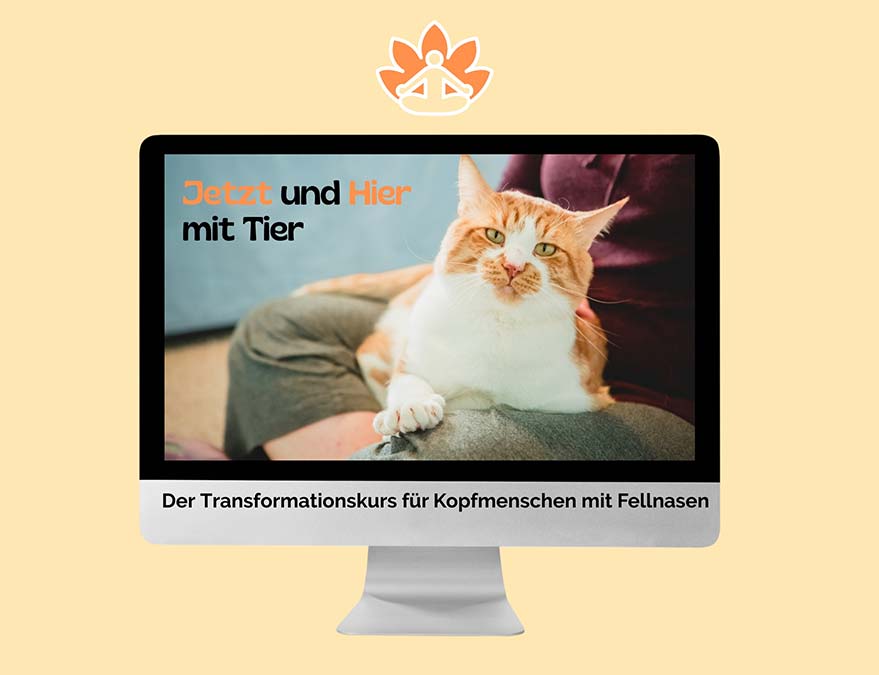 Home 1 Kundenstimmen