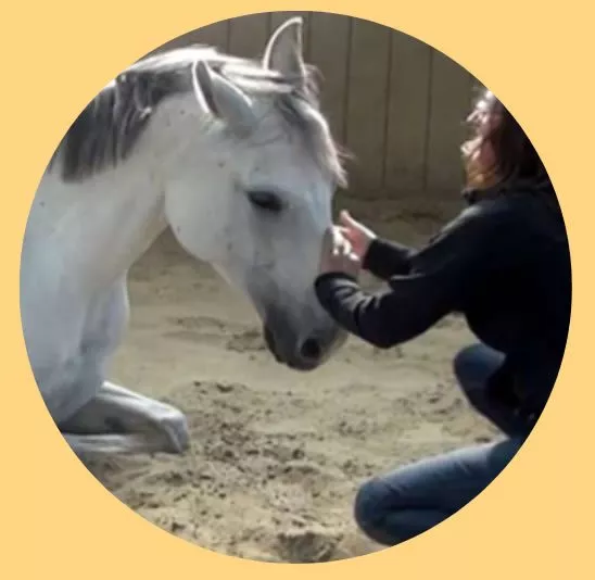 pia2 Mini-Retreat 10