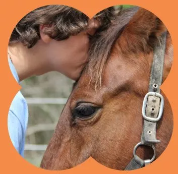 Mini-Retreat 10 Mini-Retreat 12