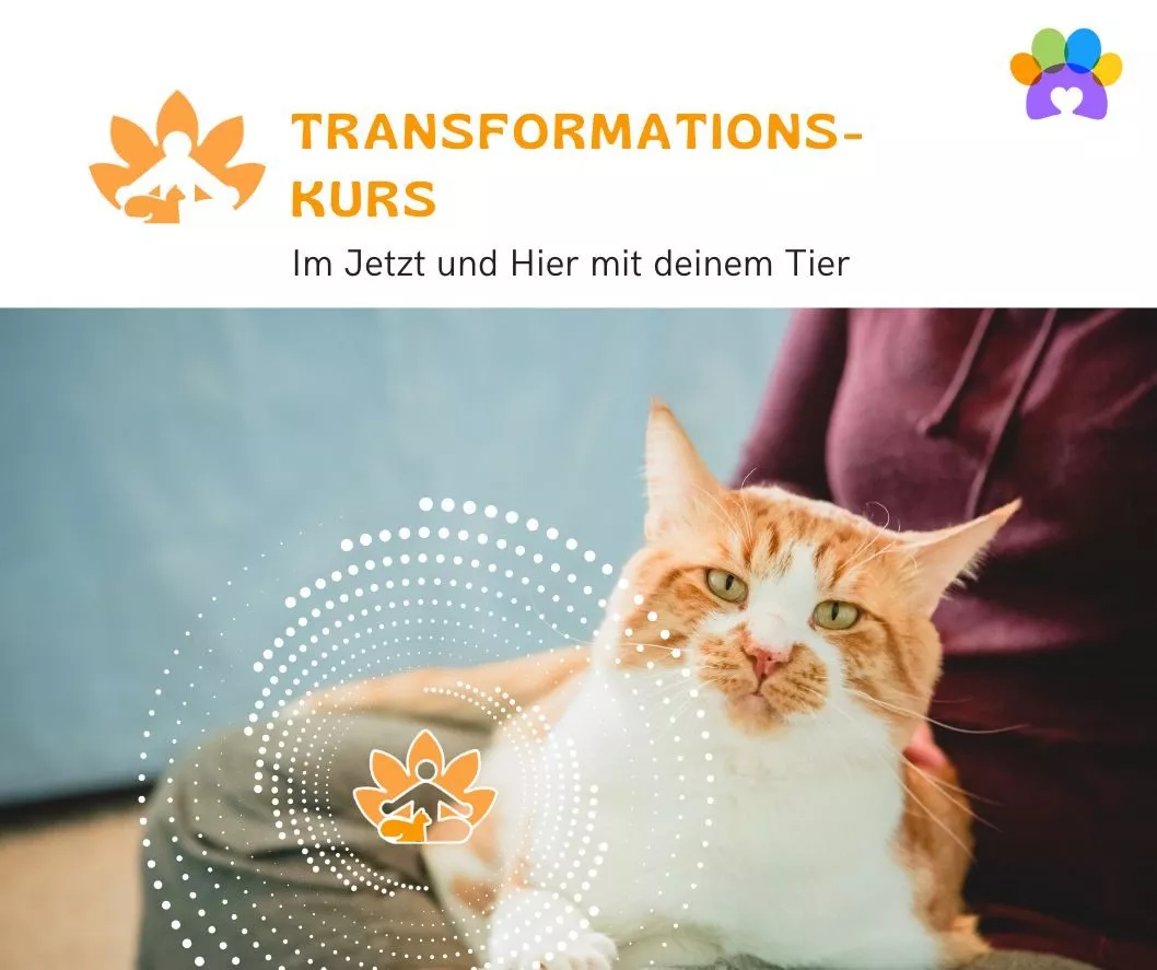 Programm 1 Programm 1