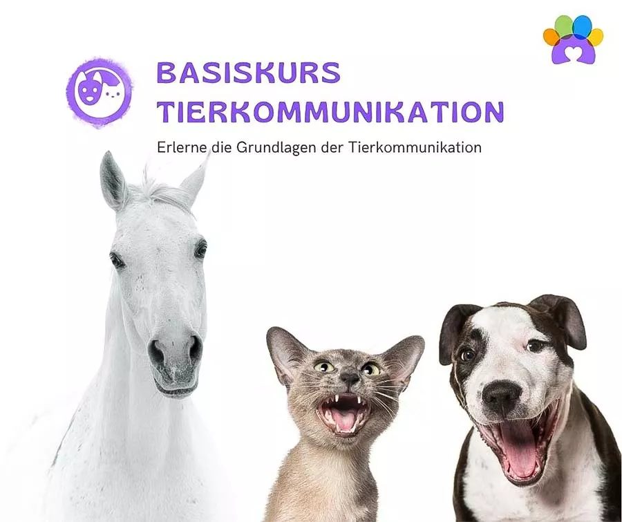 Programm 3 Programm 3