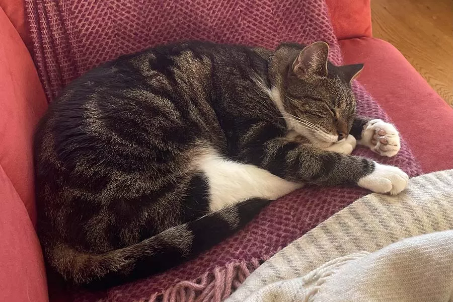 Teilnehmerstimmen 4 Henrieke