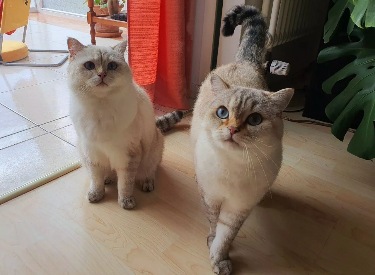 Teilnehmerstimmen 2 Jan & Cigdem