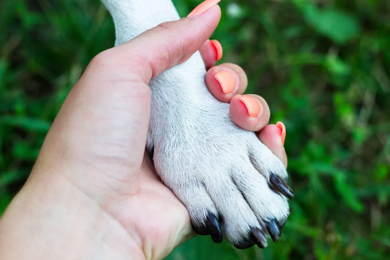 Teilnehmerstimmen 7 Lisa