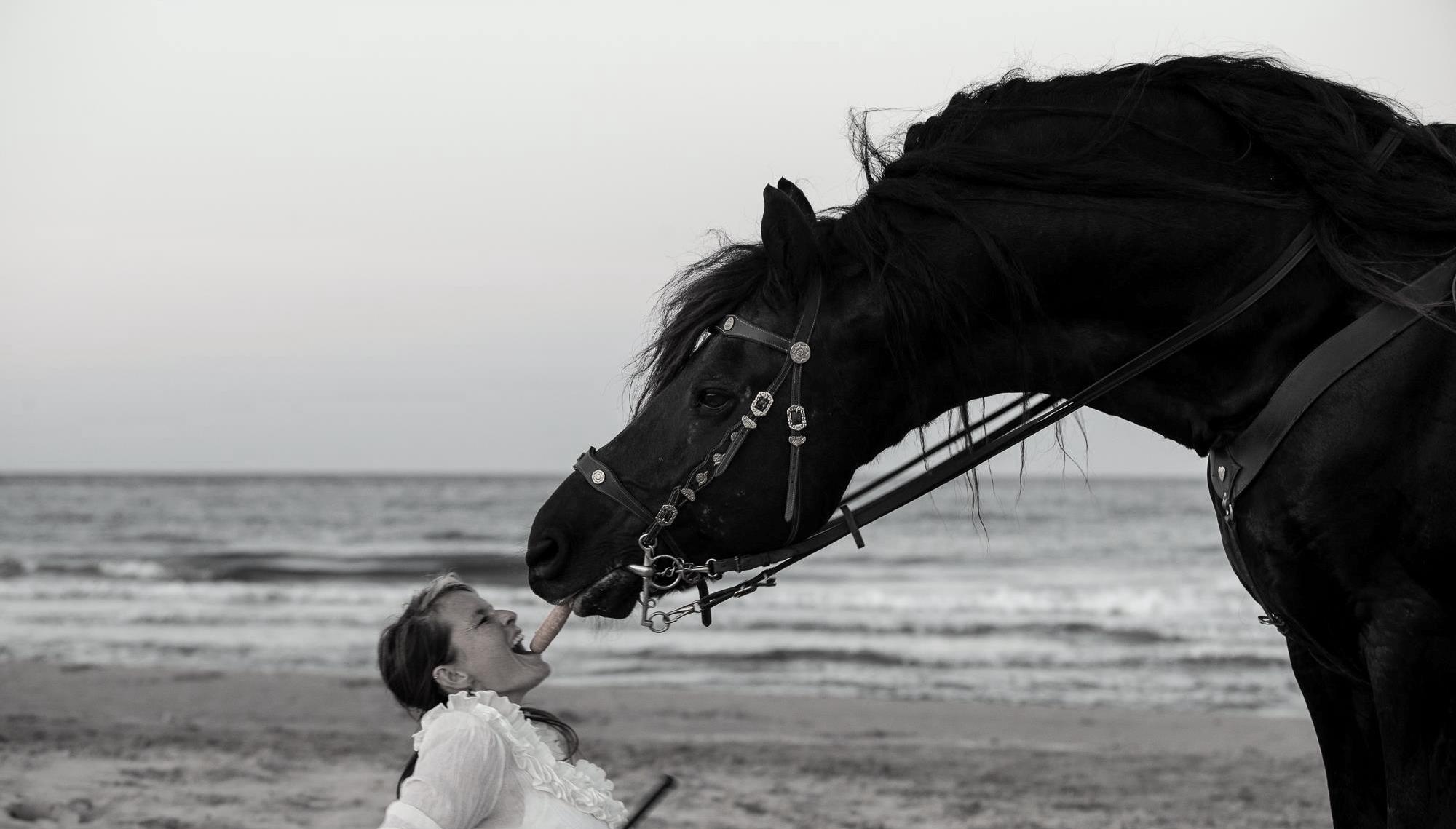 Home 3 Iris Burner-Würgler