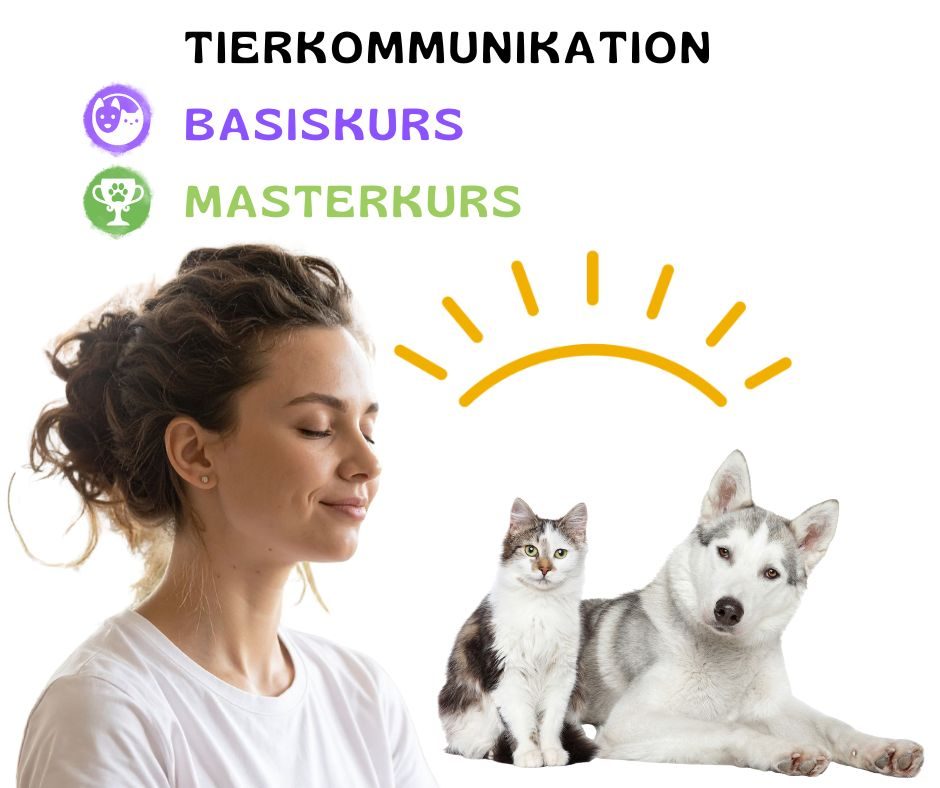 Home 2 Kundenstimmen