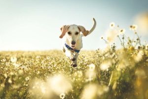 Home 4 Marion Cremer