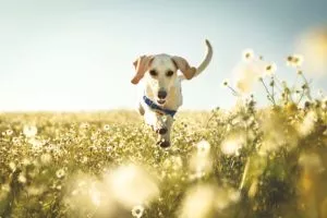 Teilnehmerstimmen 3 Marion Cremer