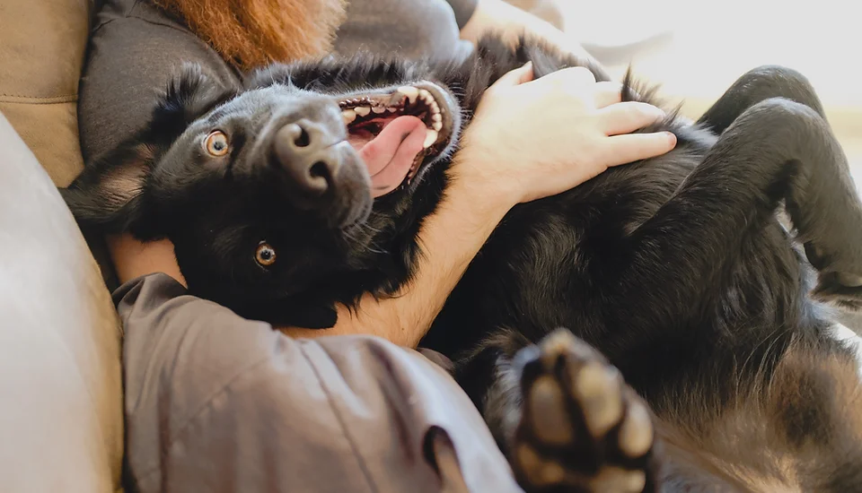 Home 6 Katharina Bingler