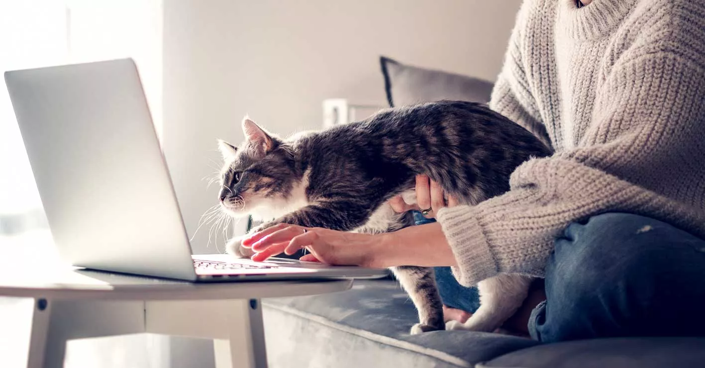 Teilnehmerstimmen 8 Luisa