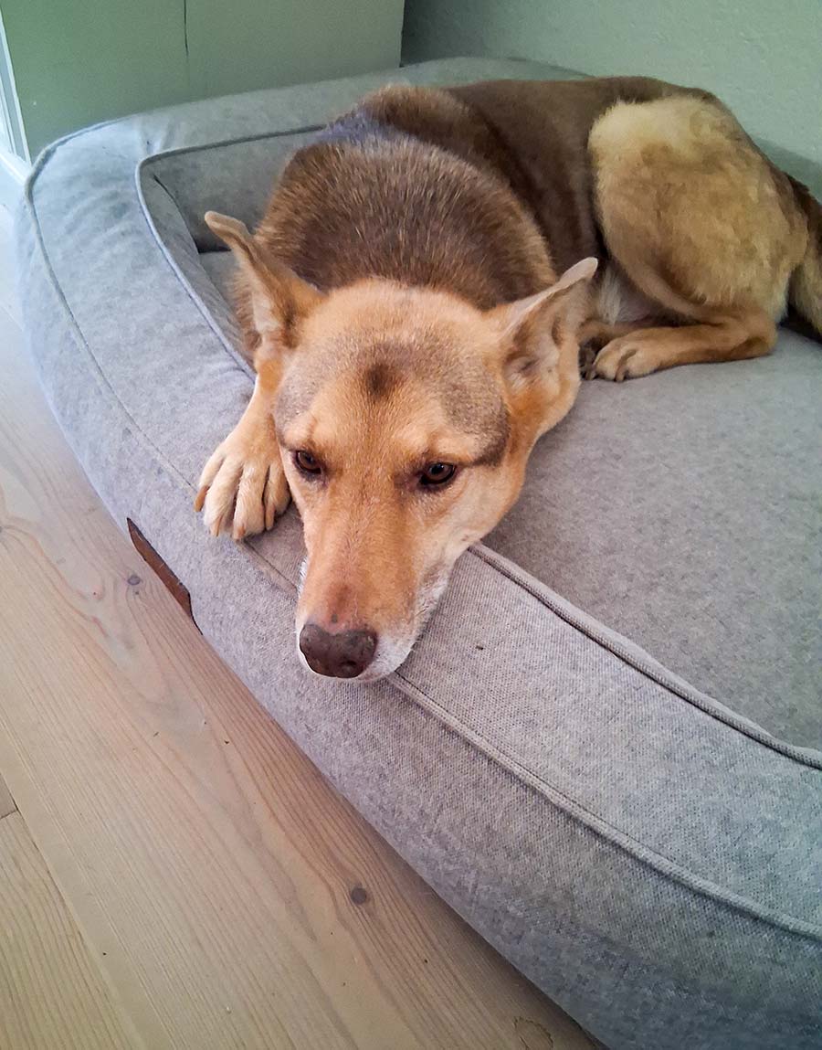 Teilnehmerstimmen 7 Annette W