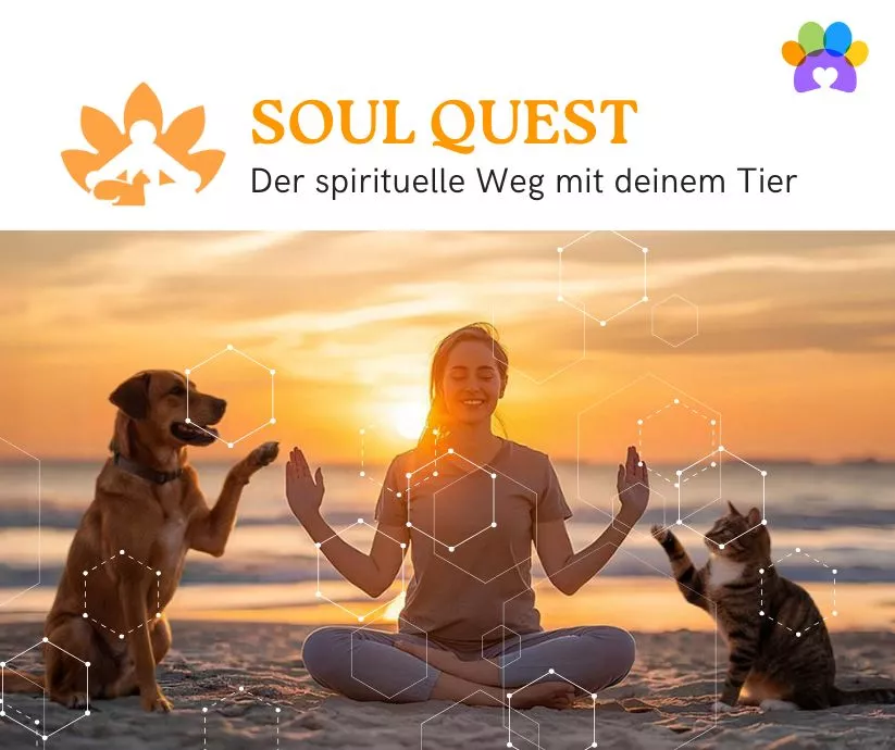 Soulquest_Visual-Pia-Mayen Programm 1