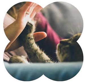 Karin Tierisch verbunden 6