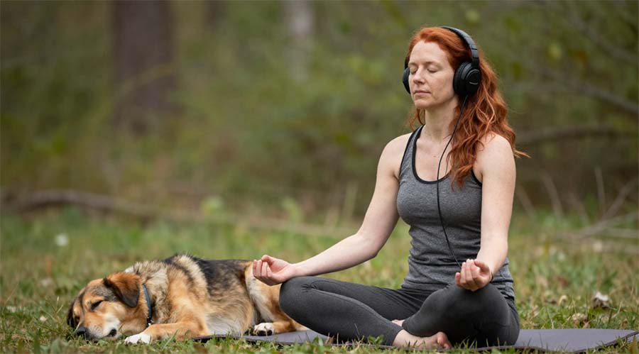 Meditation-mit-Hund Minikurs Alphatiere 2