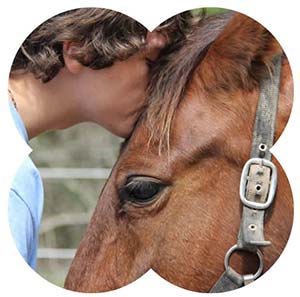 Tanja Tierisch verbunden 7