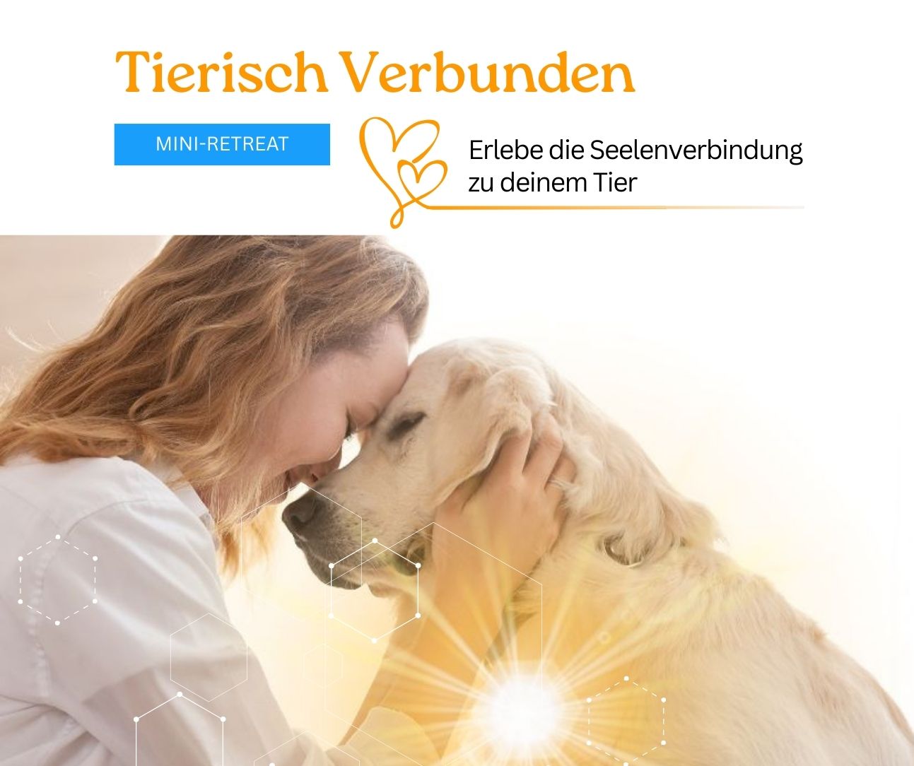 Tierisch-verbunden-Produkt-Visual Programm 2
