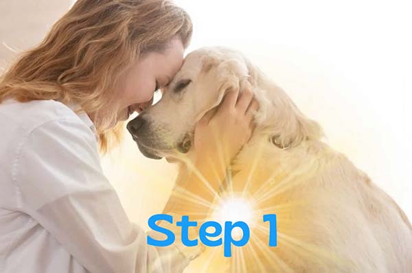 Visual-Step1 Tierisch verbunden 1