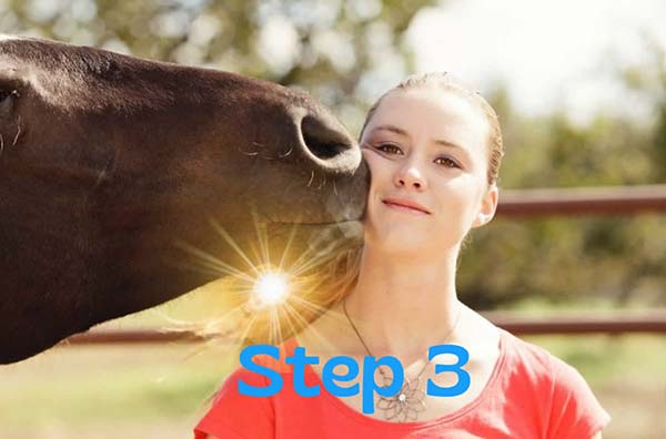 Visual-Step3 Tierisch verbunden 3