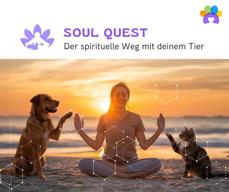 Soulquest_Visual-Pia-Mayen Home 1