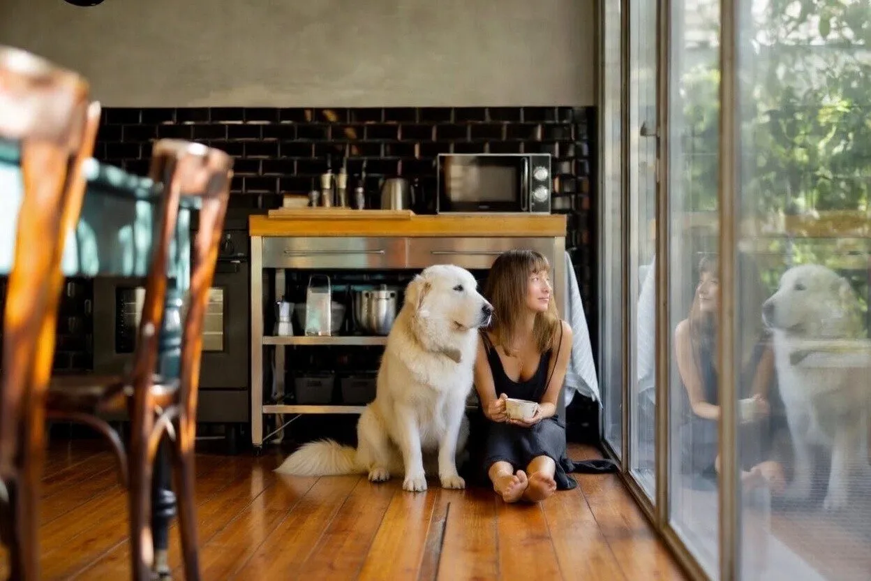 Home 11 Bin ich die Mama meines Tieres?