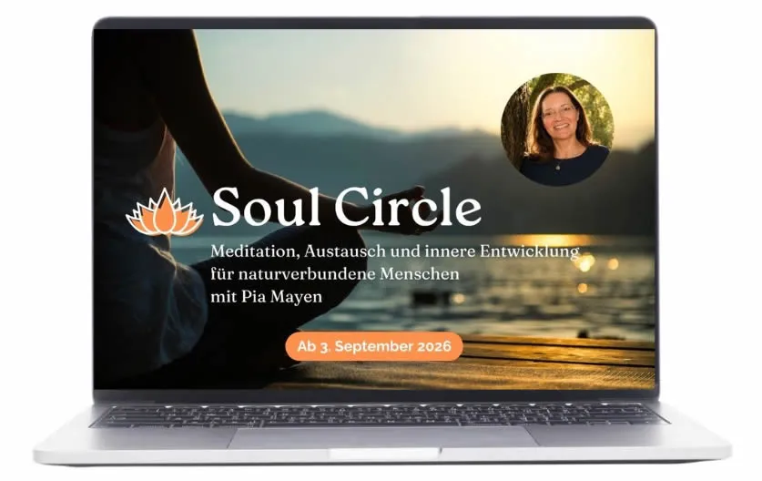 Soul Circle 4
