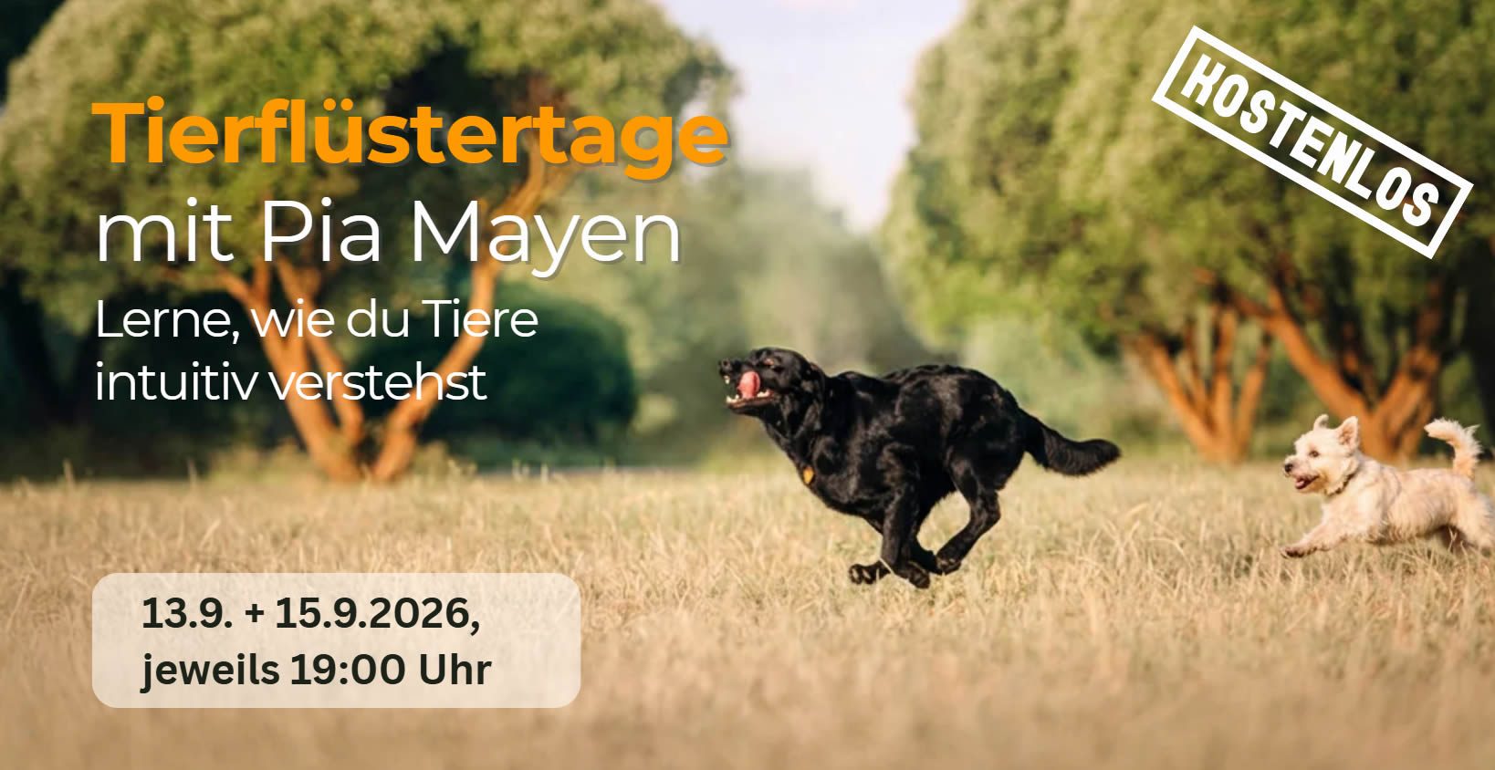 Tierflüstertage-2026 Home 1